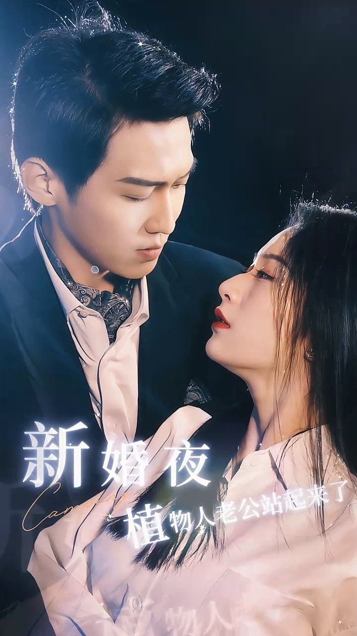 新婚夜，植物人老公站起来了海报