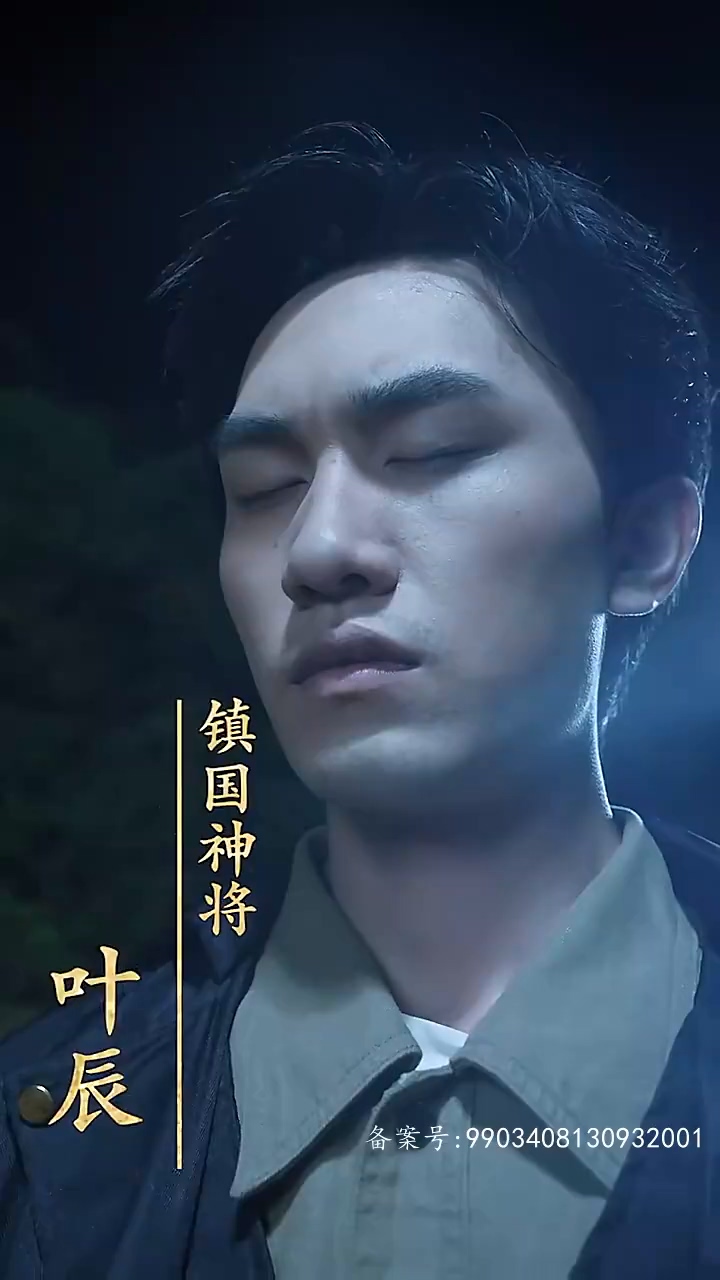 镇国神将海报