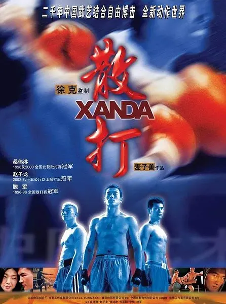 散打2004[电影解说]海报