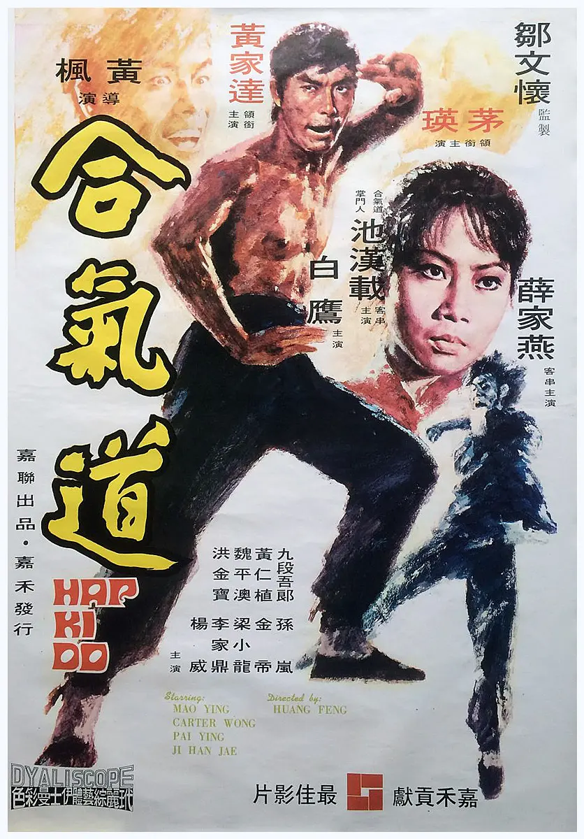 合气道[电影解说]海报