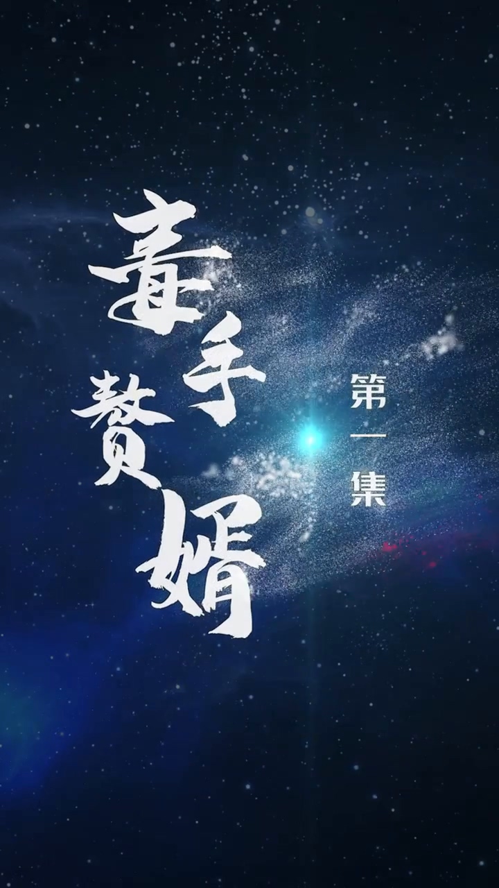 毒手赘婿海报