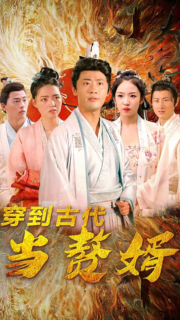 穿到古代当赘婿海报