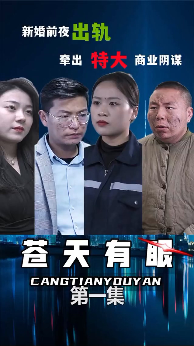 苍天有眼海报