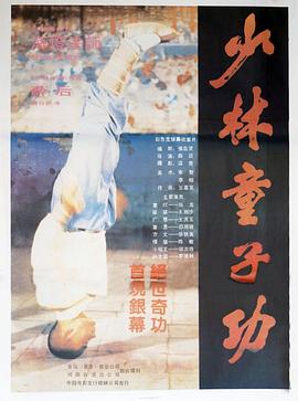 少林童子功[电影解说]海报