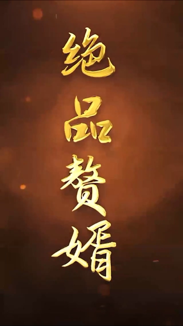 绝品赘婿海报