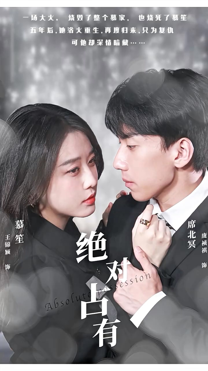绝对占有海报