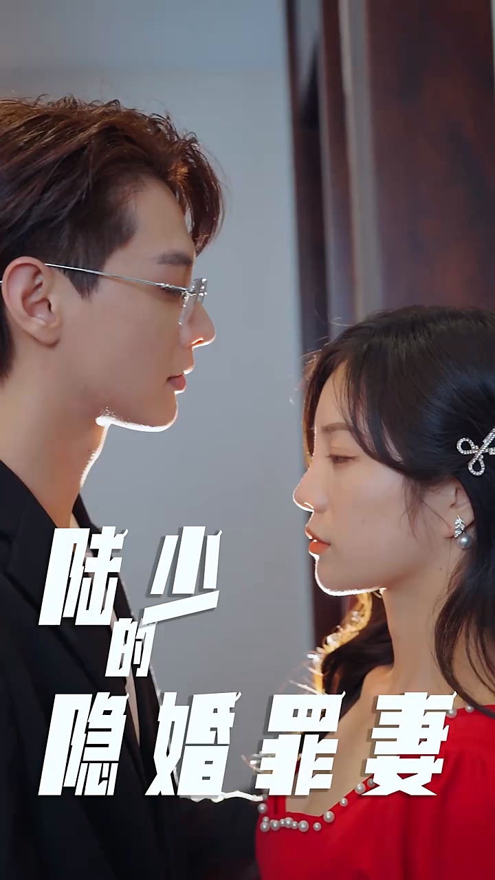 陆少的隐婚罪妻海报