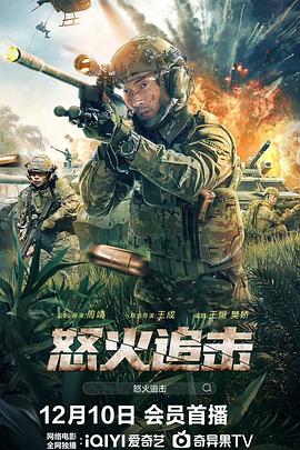 怒火追击[电影解说]海报