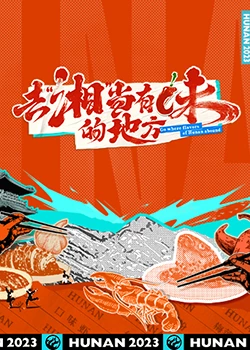 去“湘”当有味的地方海报