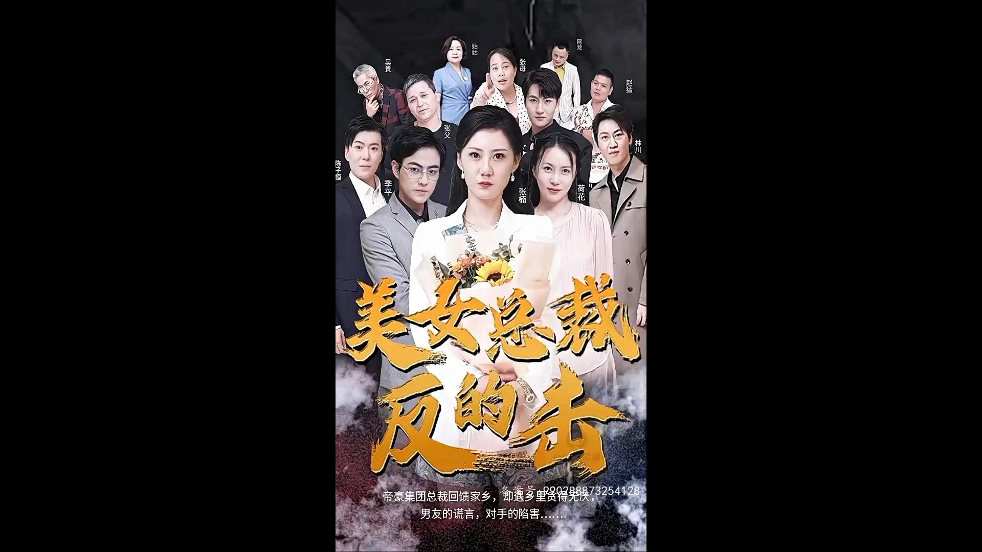 美女总裁的反击海报