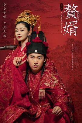 赘婿[电影解说]海报