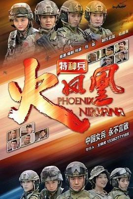特种兵之火凤凰[电影解说]海报