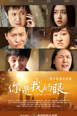 你是我的眼2015[电影解说]海报
