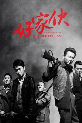 好家伙2016[电影解说]海报