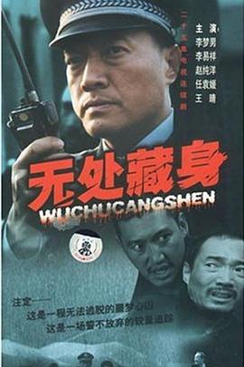 无处藏身2008[电影解说]海报