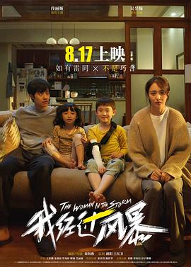 我经过风暴[电影解说]海报
