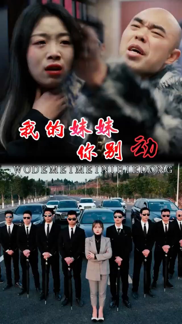 我的妹妹你别动海报