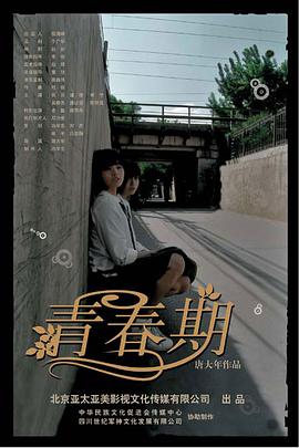 青春期2007海报