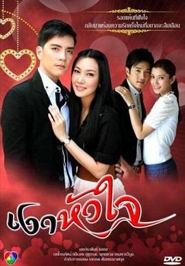 心影2010[电影解说]海报