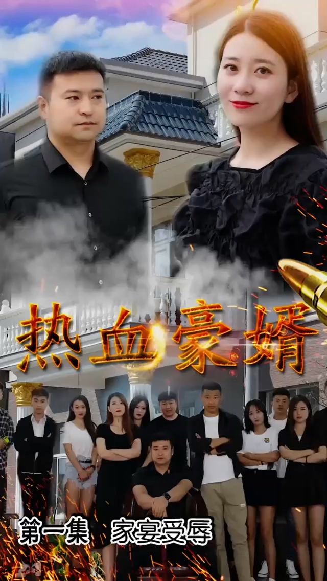 热血豪婿海报