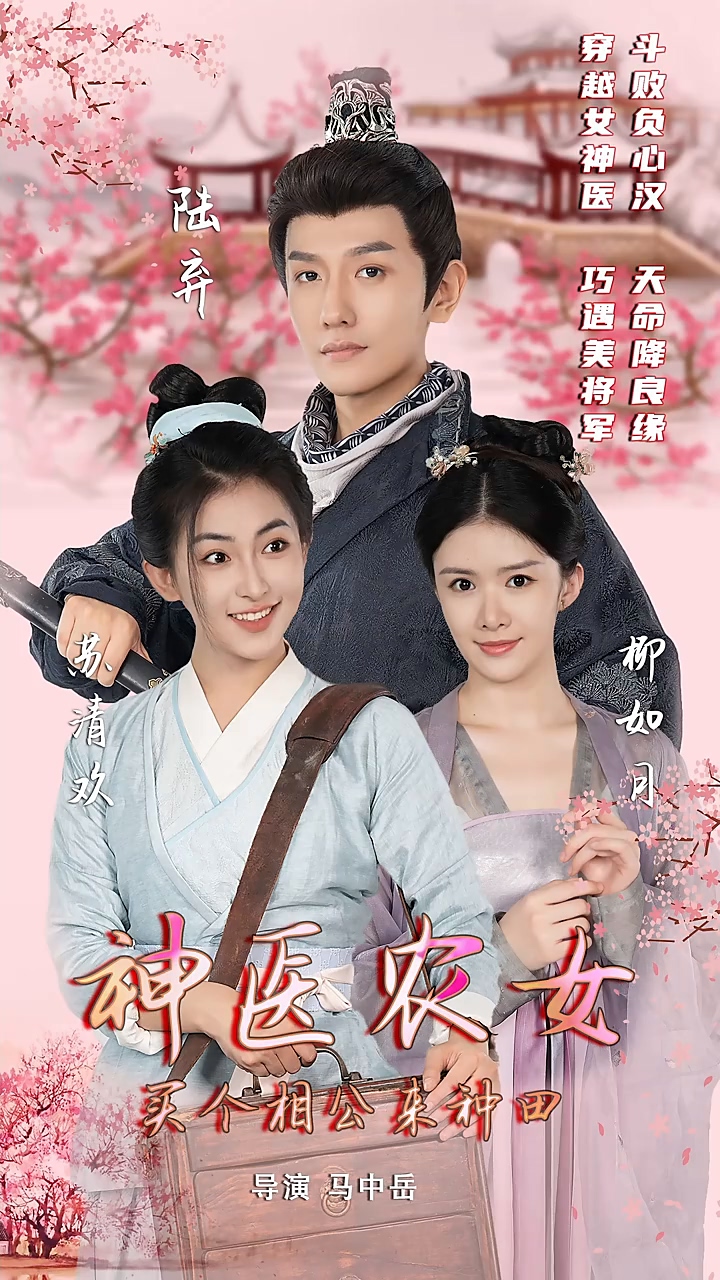 神医农女：买个相公来种田海报
