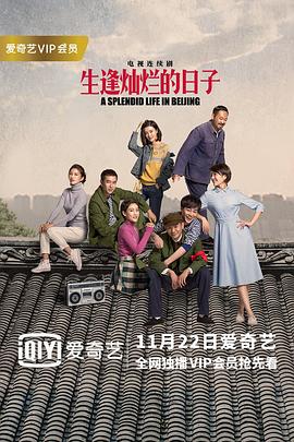 生逢灿烂的日子[电影解说]海报