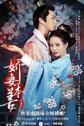 娇妻本善海报