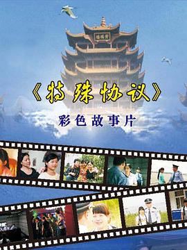 特殊协议海报