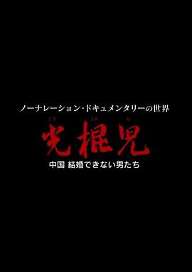 光棍儿：中国结不了婚的男人们[电影解说]海报