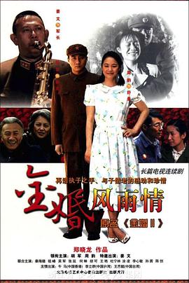 金婚·风雨情[电影解说]海报