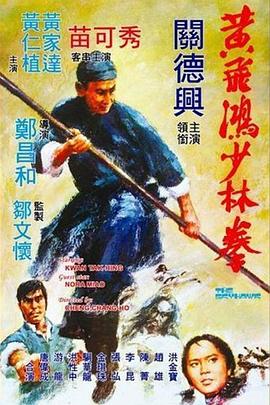 黄飞鸿少林拳[电影解说]海报