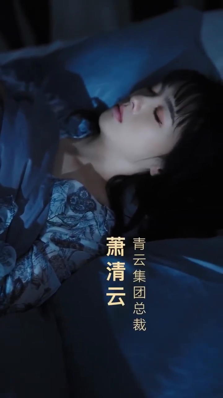 老公的秘密海报