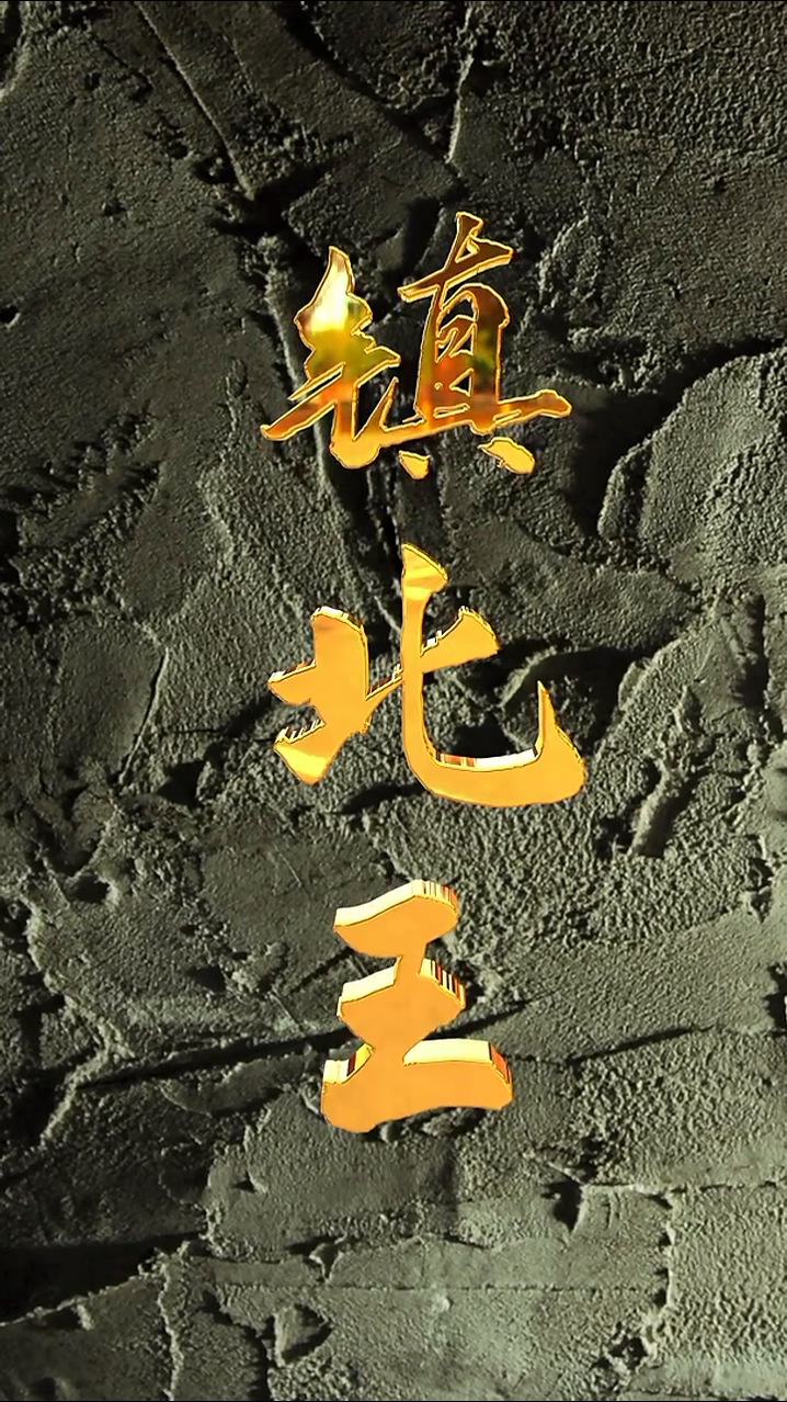 镇北王海报