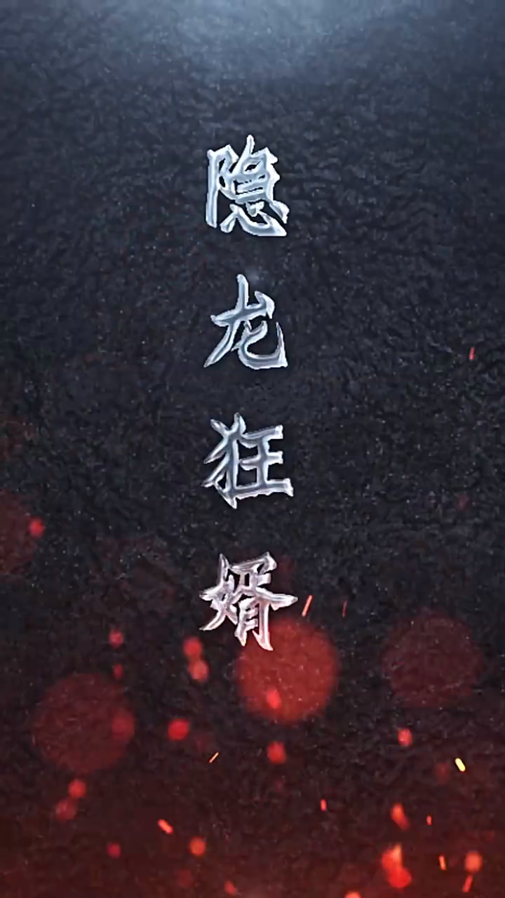 隐龙狂婿海报