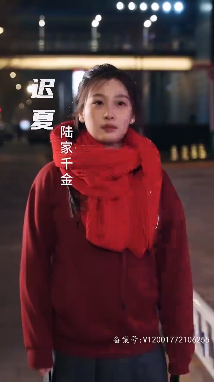 四个大佬哥哥重生之后狂宠我海报