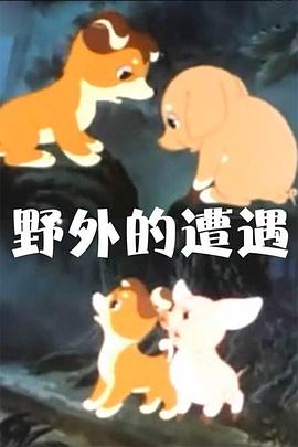 野外的遭遇[电影解说]海报