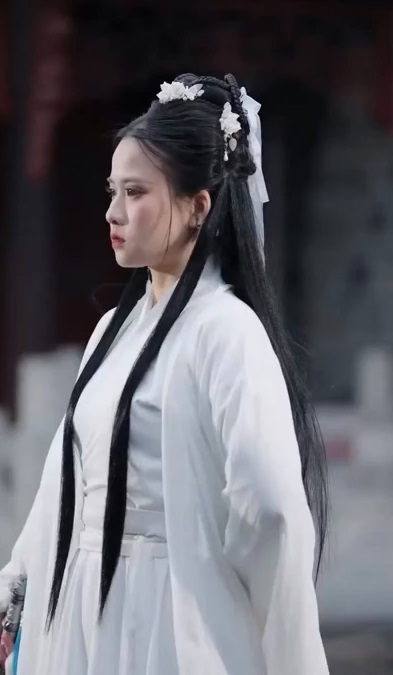 洛雨寻笙海报