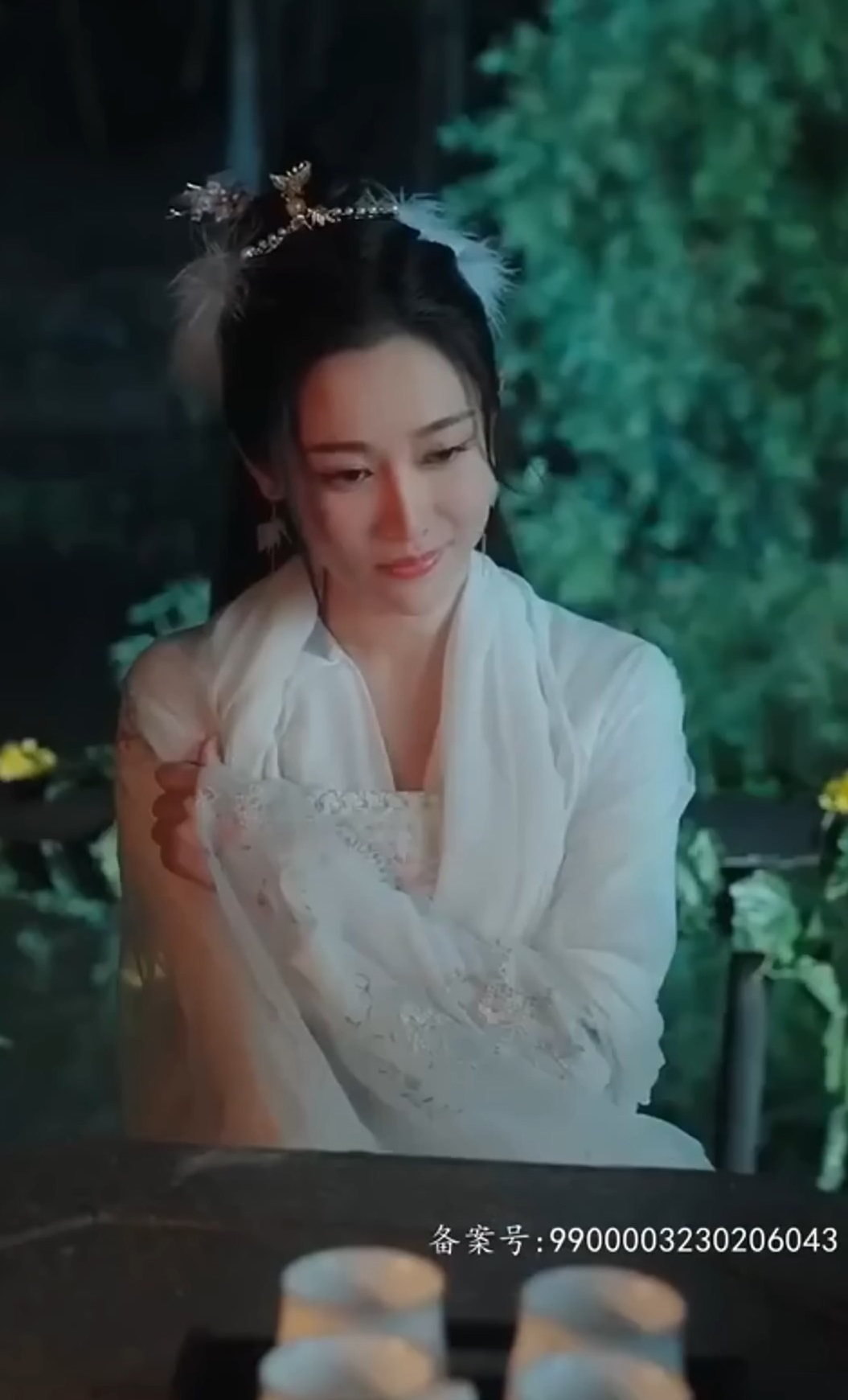 我的九尾狐老婆海报