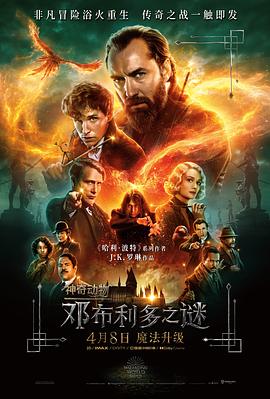 神奇动物：邓布利多之谜[电影解说]海报
