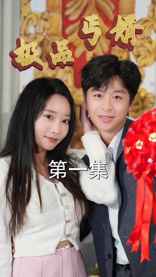 极品丐婿海报