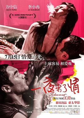一夜未了情2011海报