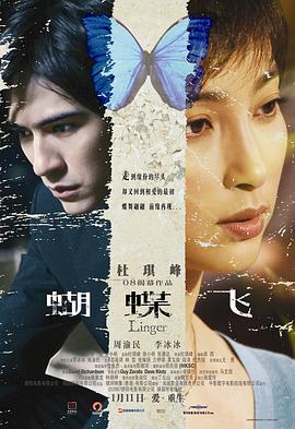 蝴蝶飞[电影解说]海报