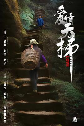 爱情天梯2013[电影解说]海报