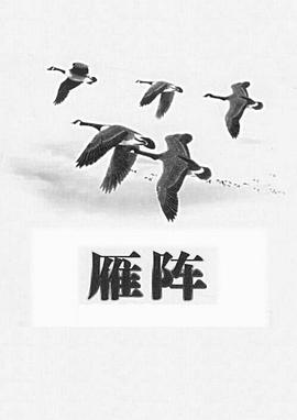 雁阵1991[电影解说]海报