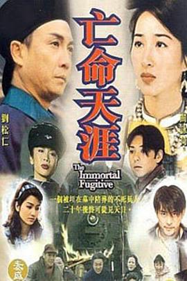 亡命天涯刘松仁版海报