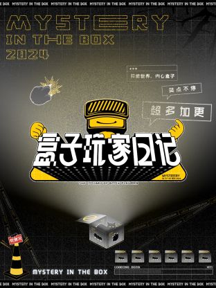 盒子玩家日记海报