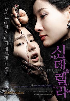 灰姑娘2006[电影解说]海报