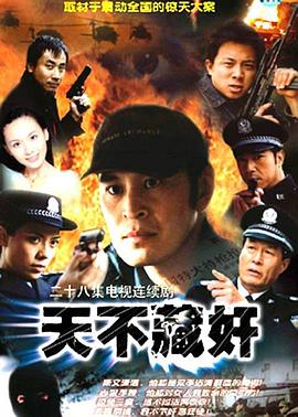 天不藏奸[电影解说]海报