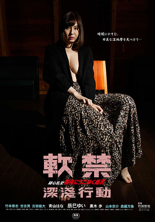 软禁：深浅行动海报