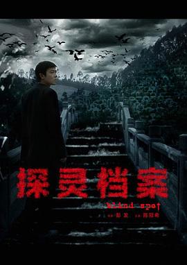 探灵档案[电影解说]海报